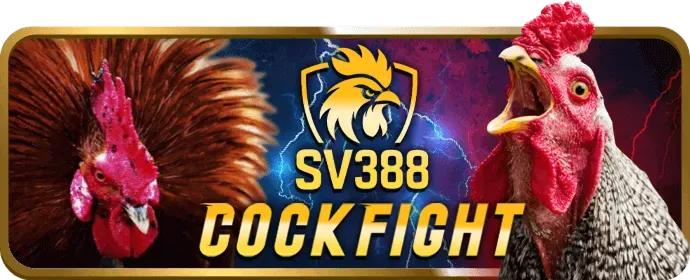 Chương trình hoàn trả cao 777king99